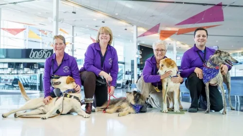 HUMANE SOCIETY PLAQUE FOR MONTRÉAL TRUDEAU’S PET SQUAD