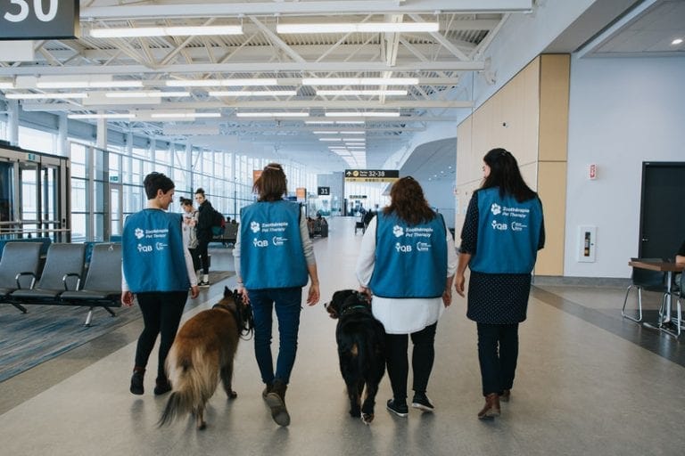 HOUNDS OF LOVE – QUEBEC AIRPORT INTRODUCES THERAPY DOGS