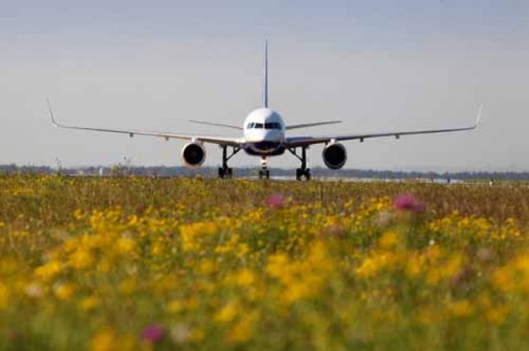 ASIA-PACIFIC AIRPORTS RECOGNISED FOR THEIR GREEN INITIATIVES