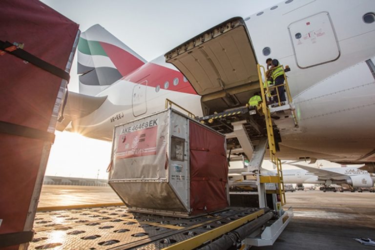 THE UAE’S STAR PERFORMER