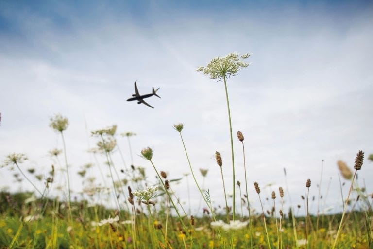 Aviation industry sets new clean energy target on road to net zero