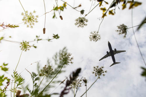 New report outlines aviation's path to net-zero emissions by 2050