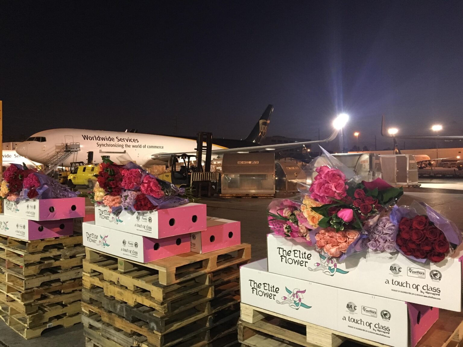 Valentine’s Day flower rush begins at Miami International Airport