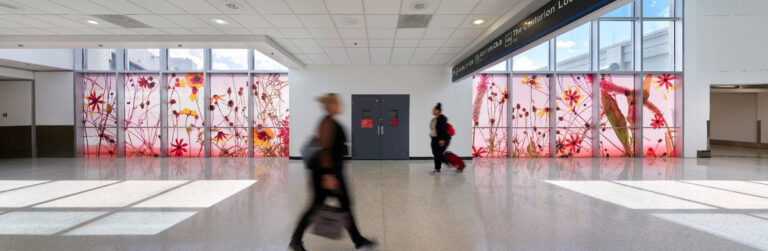 New artwork on display at MIA ahead of Miami Art Week