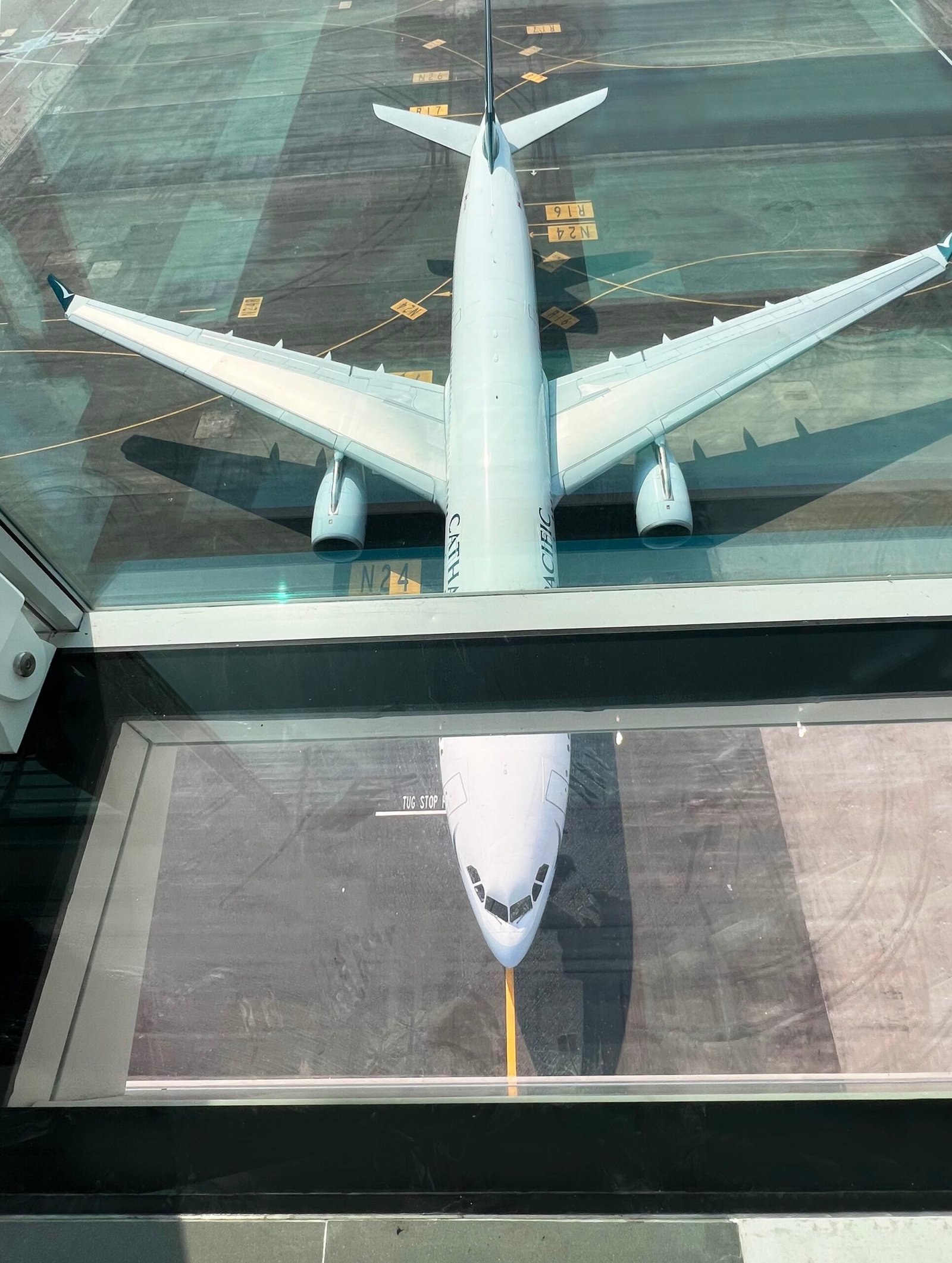 hong-kong-international-airport-s-sky-bridge-opens-to-passengers