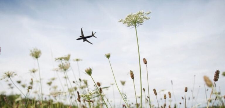 Sustainability 2.0
