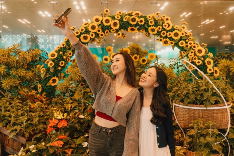 Giant sunflowers bring splash of colour to Singapore Changi
