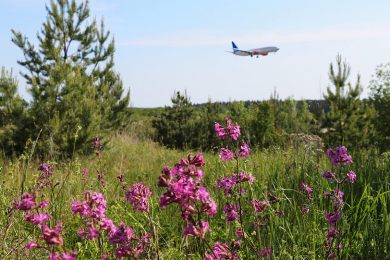 New framework for green bonds issued by Swedavia